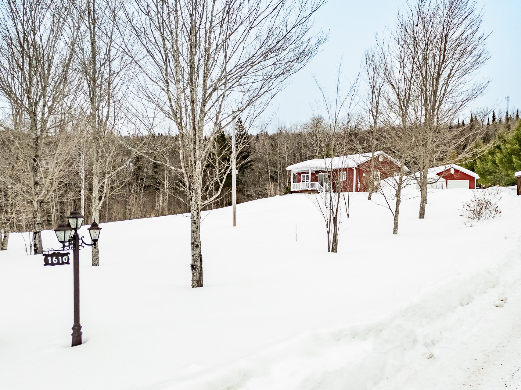 Overall View