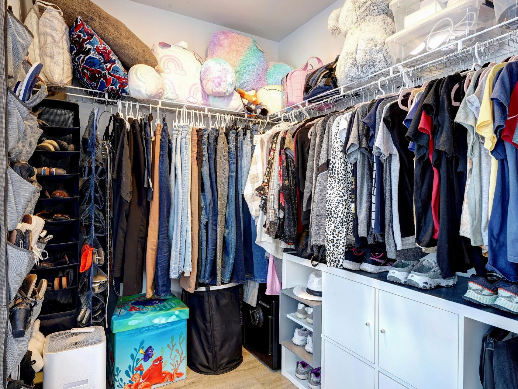 Garde-robe / walk-in.