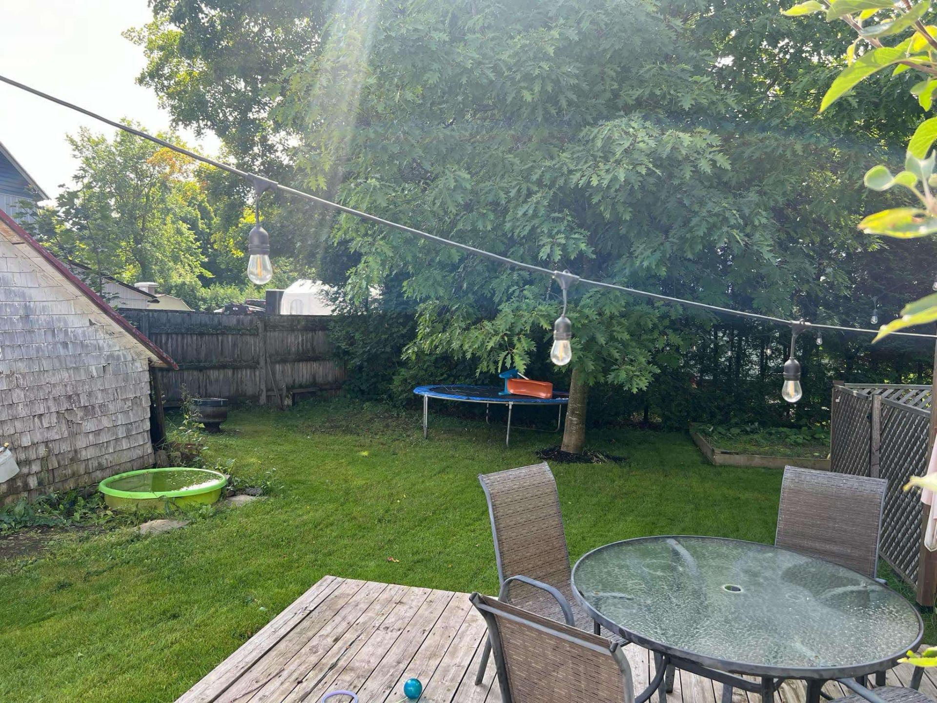 Backyard