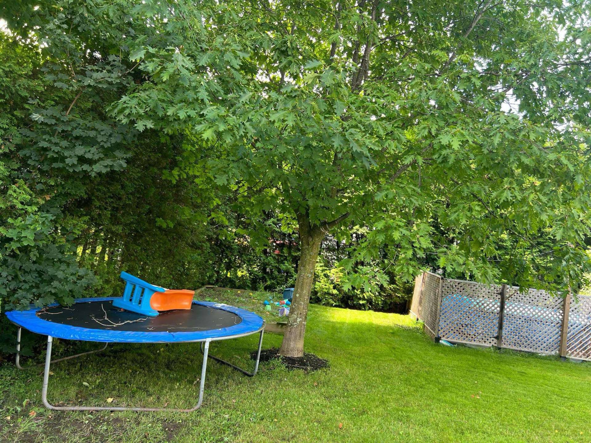 Backyard