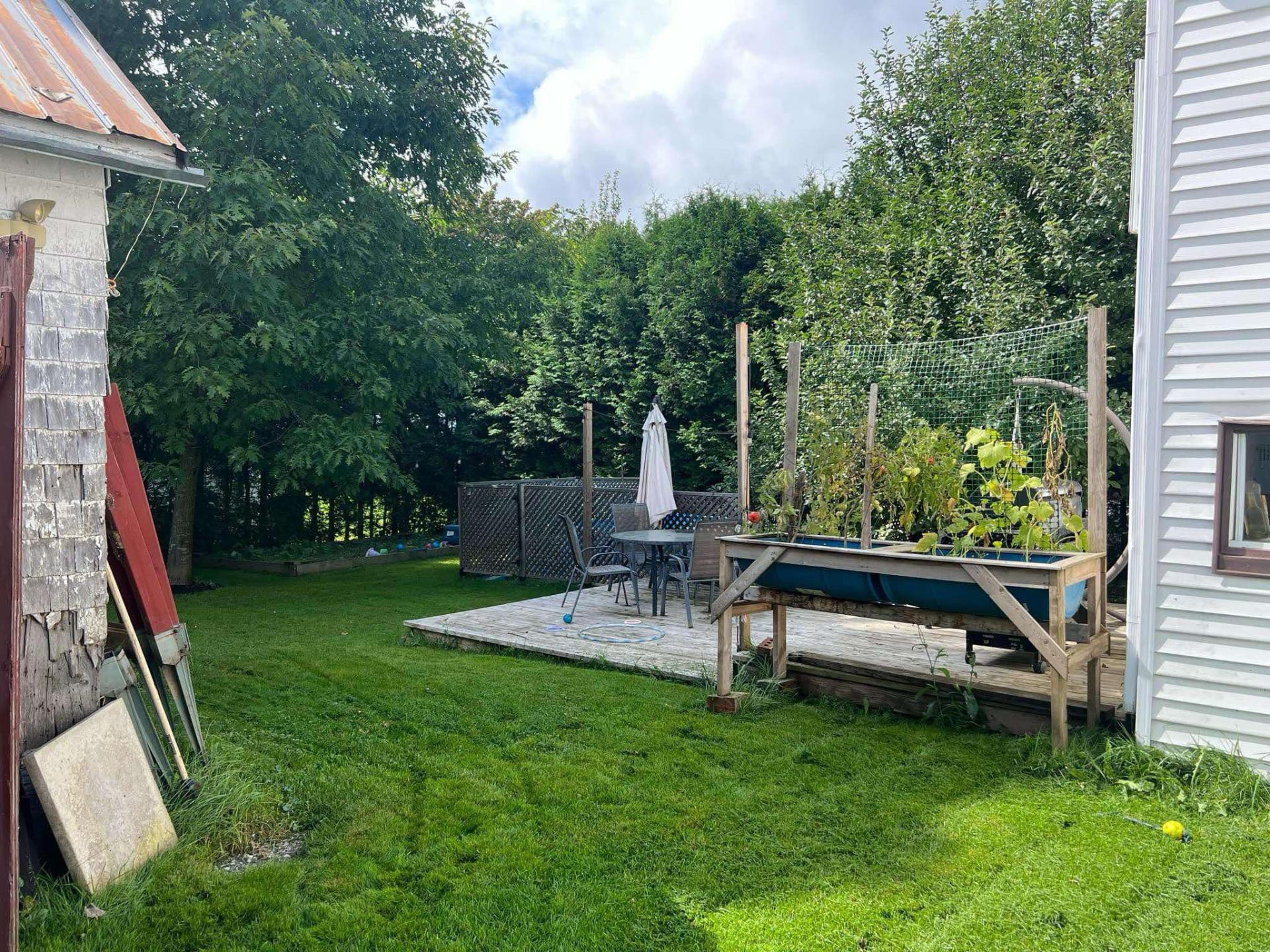 Backyard
