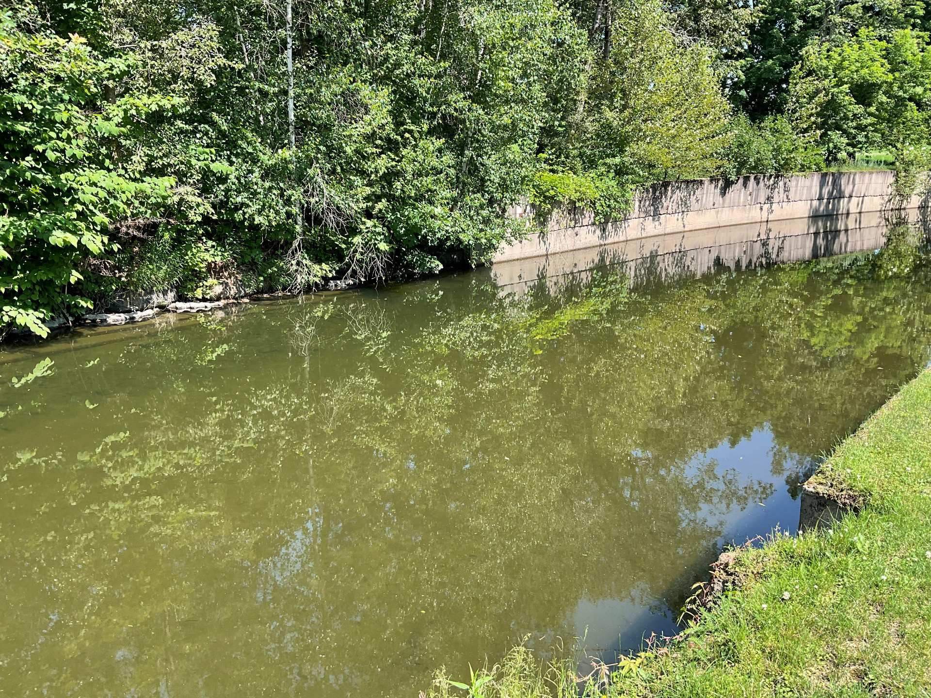 Bord de l'eau