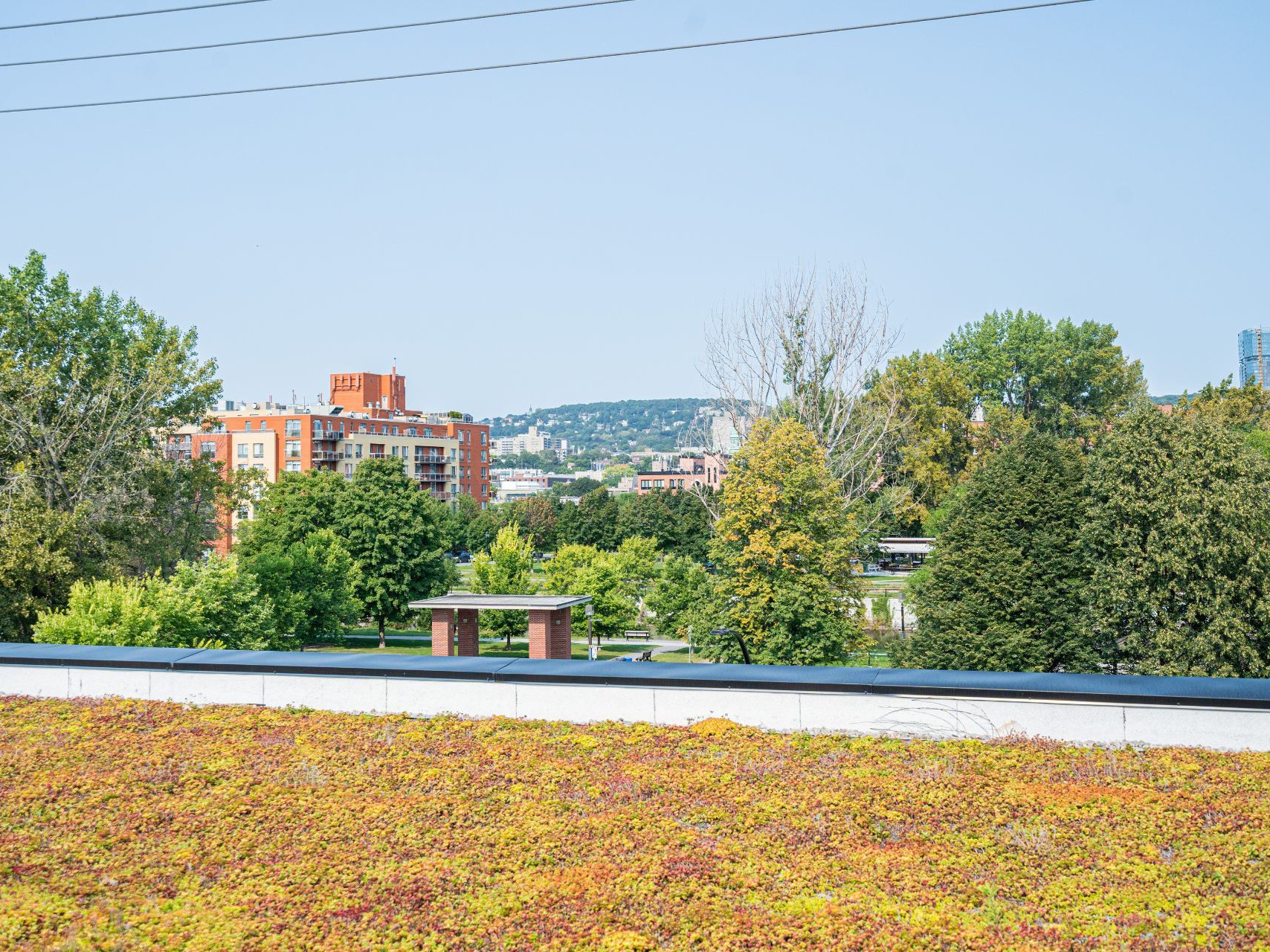 Vue