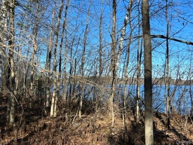 Terrain à vendre, Notre-Dame-du-Laus
