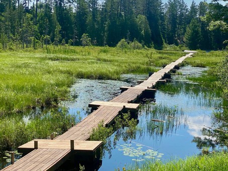 Accès au plan d'eau