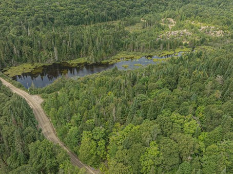 Aerial photo