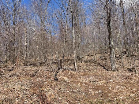 Terre/Terrain