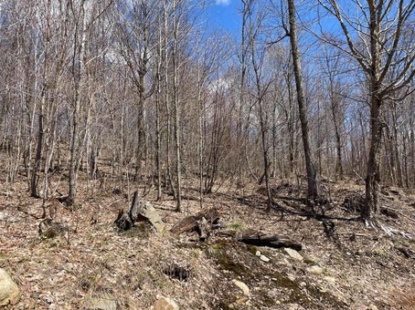 Terre/Terrain