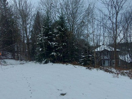 Terre/Terrain